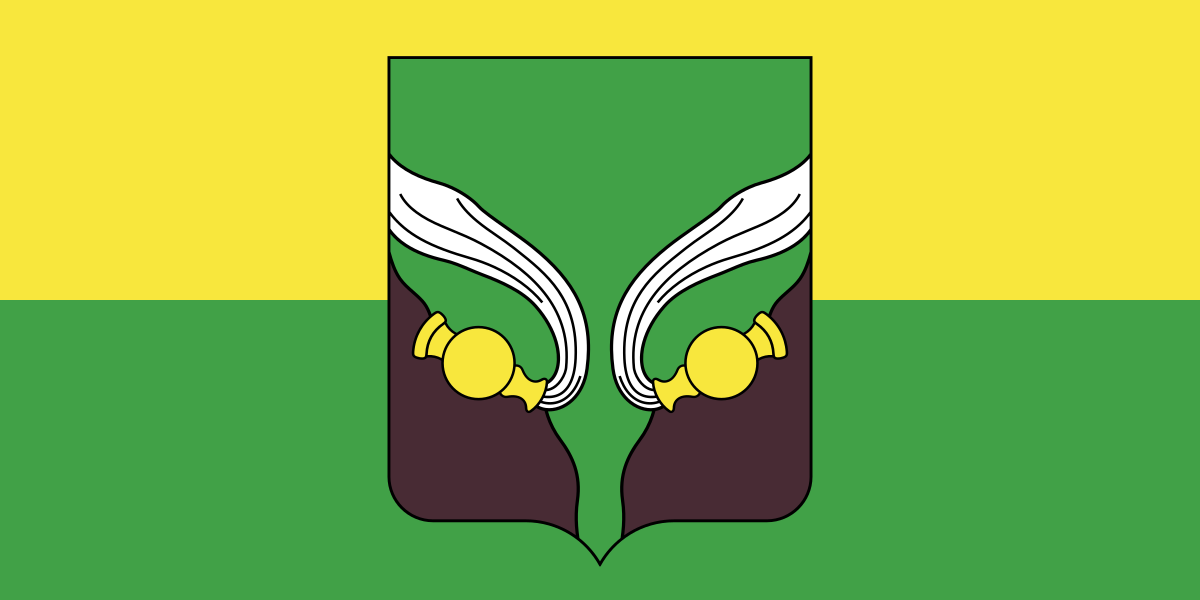 Vitebsk oblast’s budget receives Br9,6bl from communal facilities sale in 2007