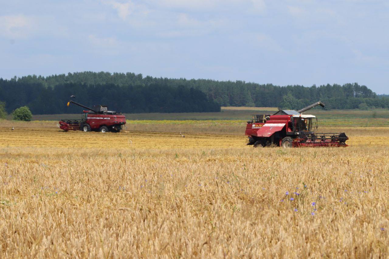 На кантролі ход уборачнай кампаніі