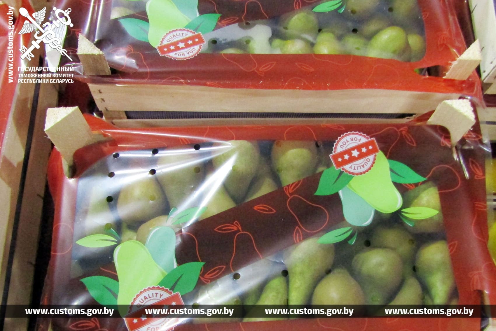 При проведении специальных мероприятий могилевские и витебские таможенники в течение недели установили три факта нарушения порядка транспортировки фруктов