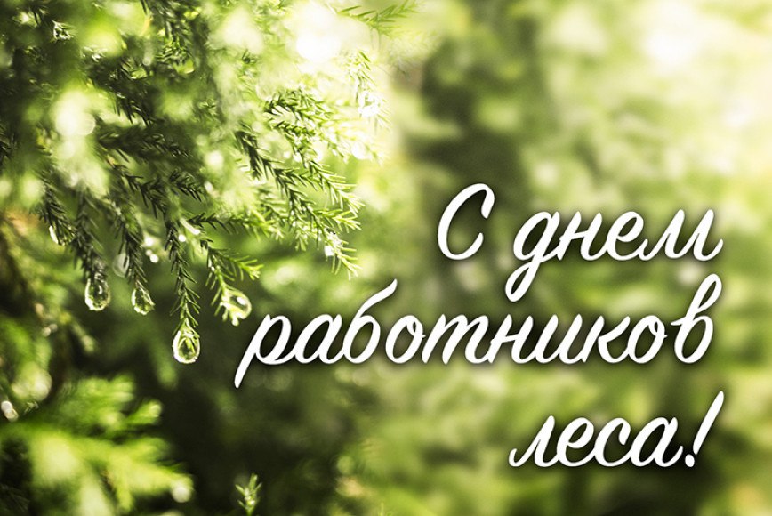 Поздравление руководства Докшицкого района с Днем работников леса
