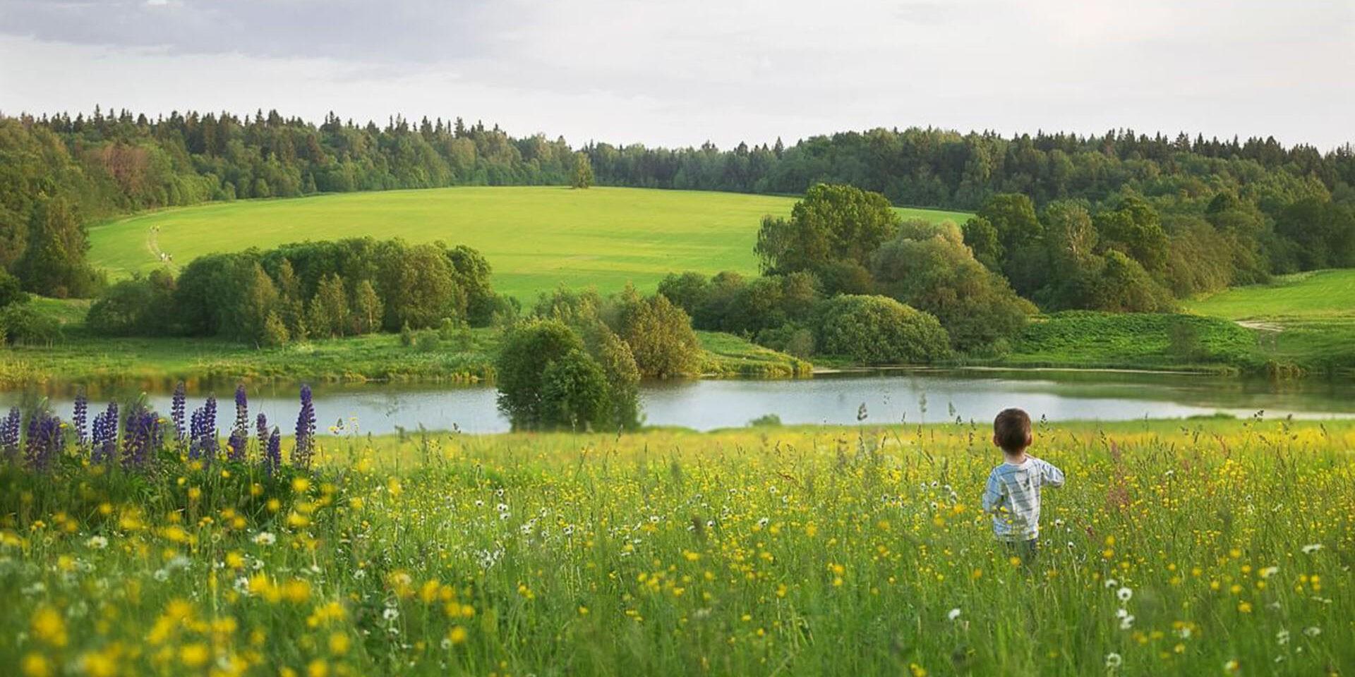 На роднай зямлі - Жыві Як Гаспадар