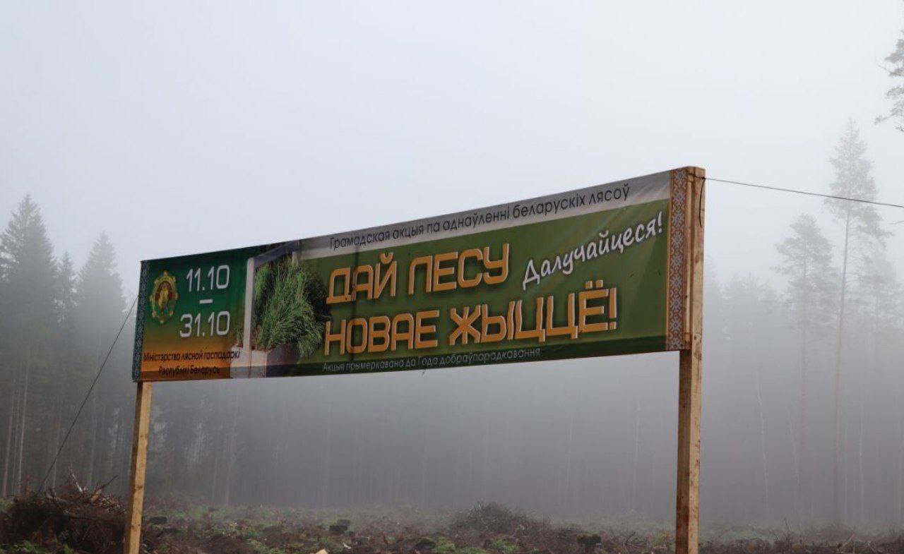 Рэспубліканская акцыя "Дай лесу новае жыццё!" у Докшыцкім раёне