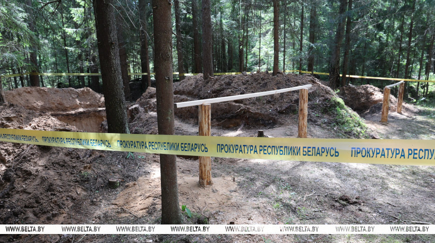 "Целы ляжаць у тры пласта". У Полацкім раёне выяўлена месца масавага расстрэлу мірных грамадзян часоў ВАВ